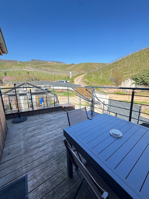 The "Katzelberg" cocoon overlooking the vineyard