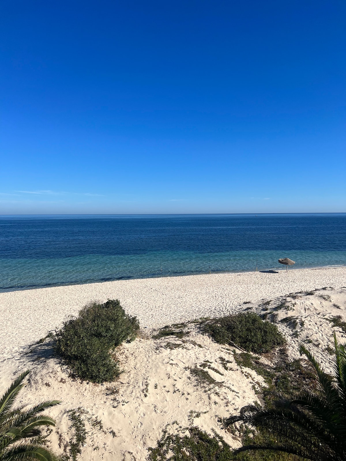 A serene beach scene is captured, showcasing a smooth sandy shoreline that meets calm turquoise waters. Gentle waves can be seen lapping at the sand, under a clear blue sky. Sparse vegetation adds a natural element to the tranquil coastal landscape.