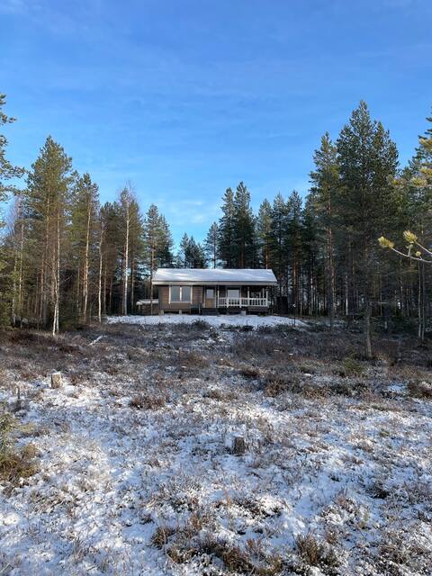 The Otso Lodge