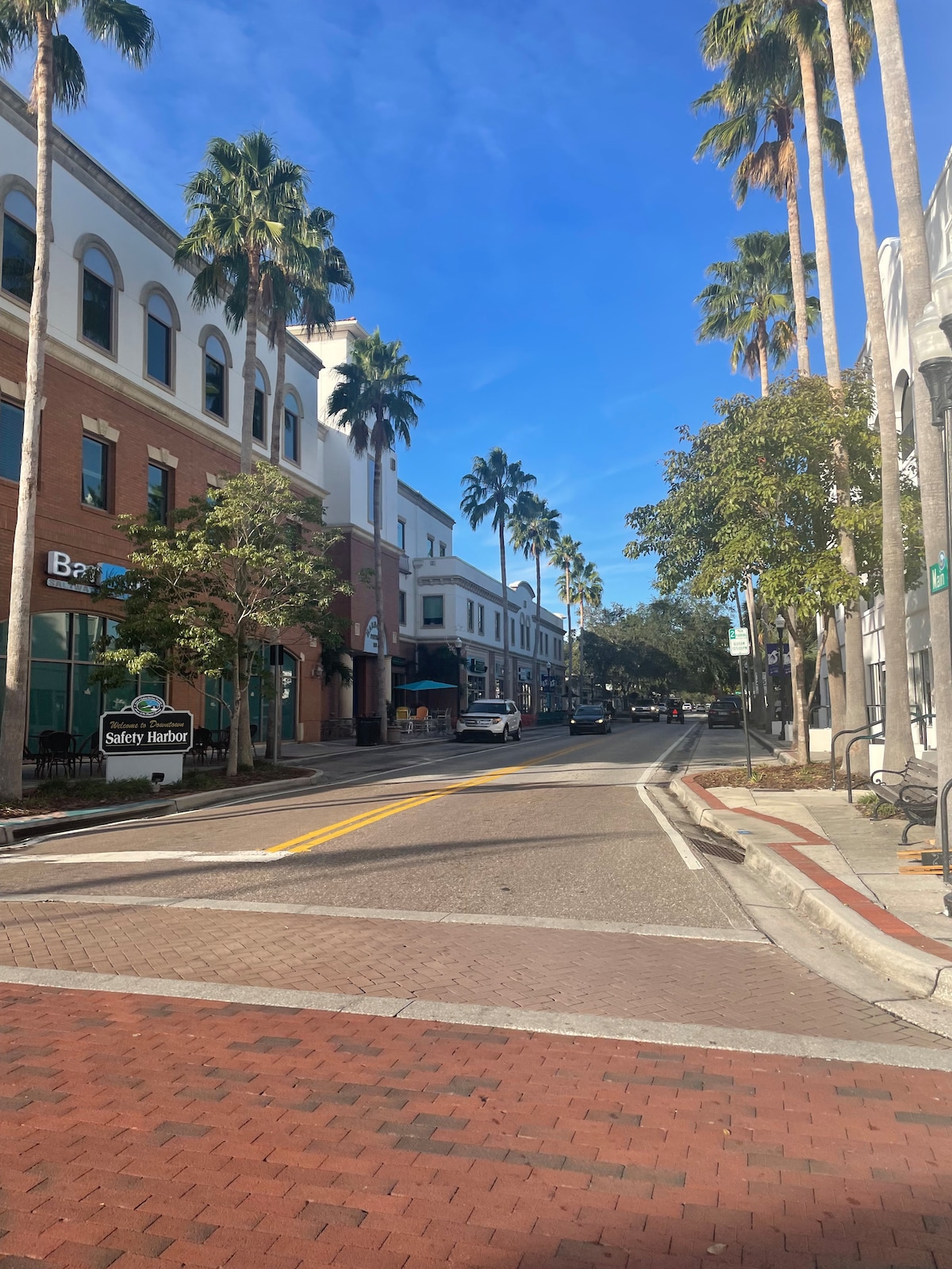 A tree-lined street in Safety Harbor features a mix of greenery and urban architecture. The view includes palm trees and charming buildings, creating a welcoming downtown atmosphere. Pedestrian-friendly pathways are visible, along with shops and dining options lining the street.