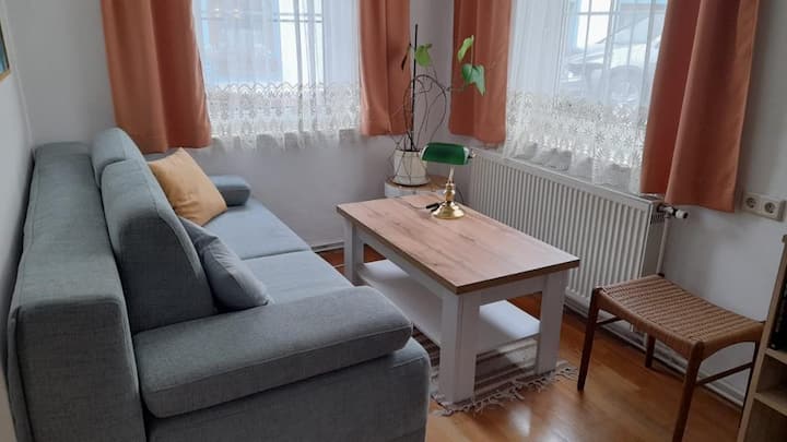 Ferienwohnung (50qm) Im Zentrum (Haus Lüftleck) - Lunz am See