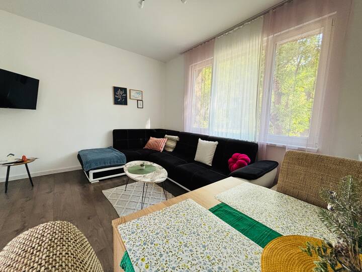 Spacious&cousy 3 Bedroom Apartment - Plovdiv