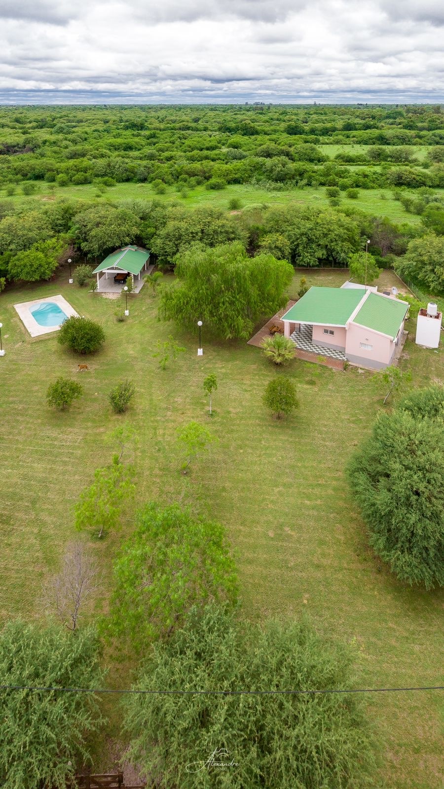 An overview of the property reveals a spacious green landscape, featuring a swimming pool and a house with a green roof. Additional shaded areas hint at relaxation spots among the trees. The surrounding nature emphasizes the tranquility of the setting.