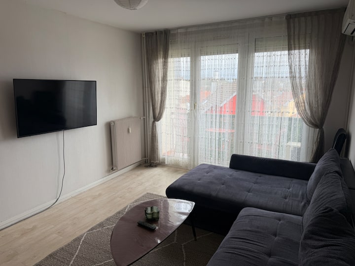 Appartement Calme Situé 600 M De La Gare D’épinal - Épinal