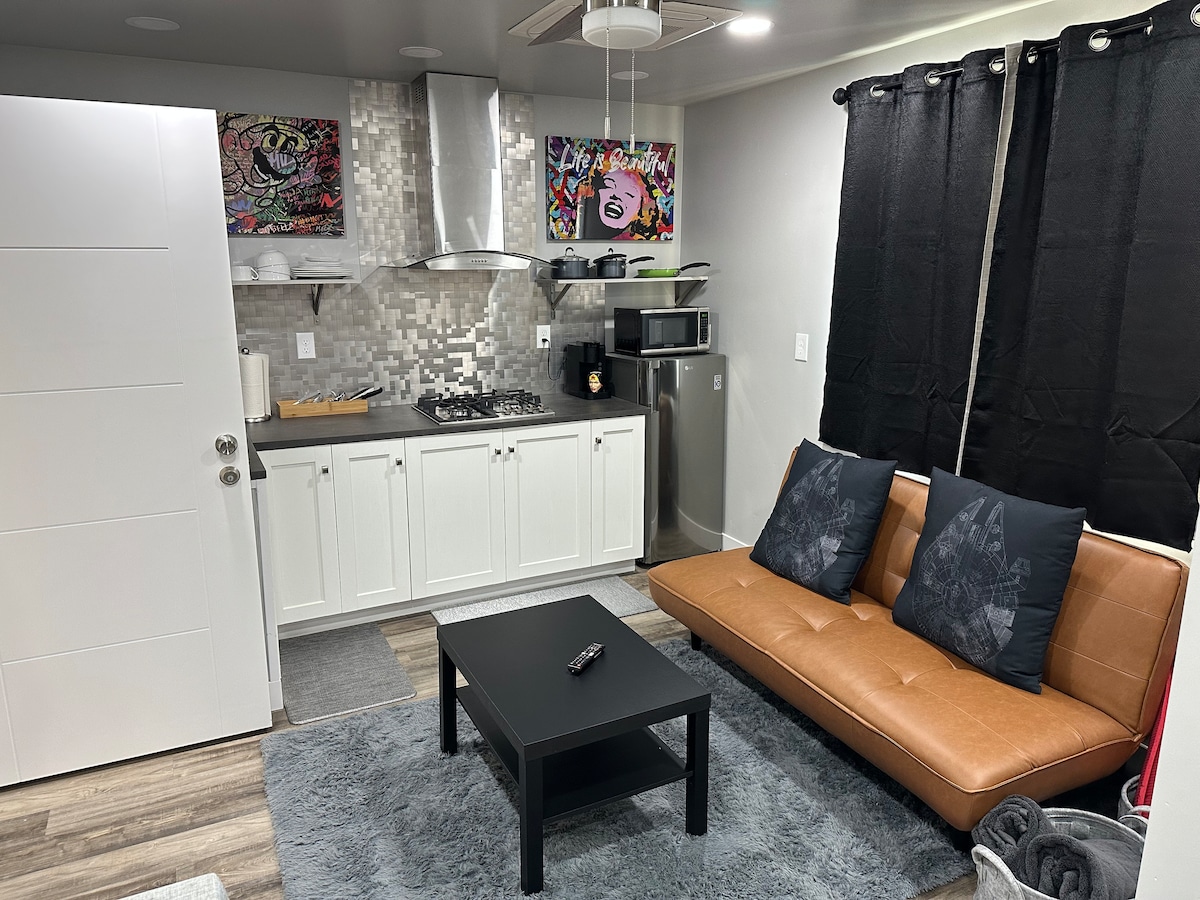 Top Airbnb: The Big One in East Sacramento