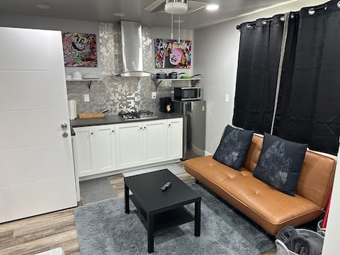 Top Airbnb: The Big One in East Sacramento