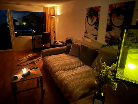 Successful Airbnb property: 2-room apartment directly on the slopes in Arosa