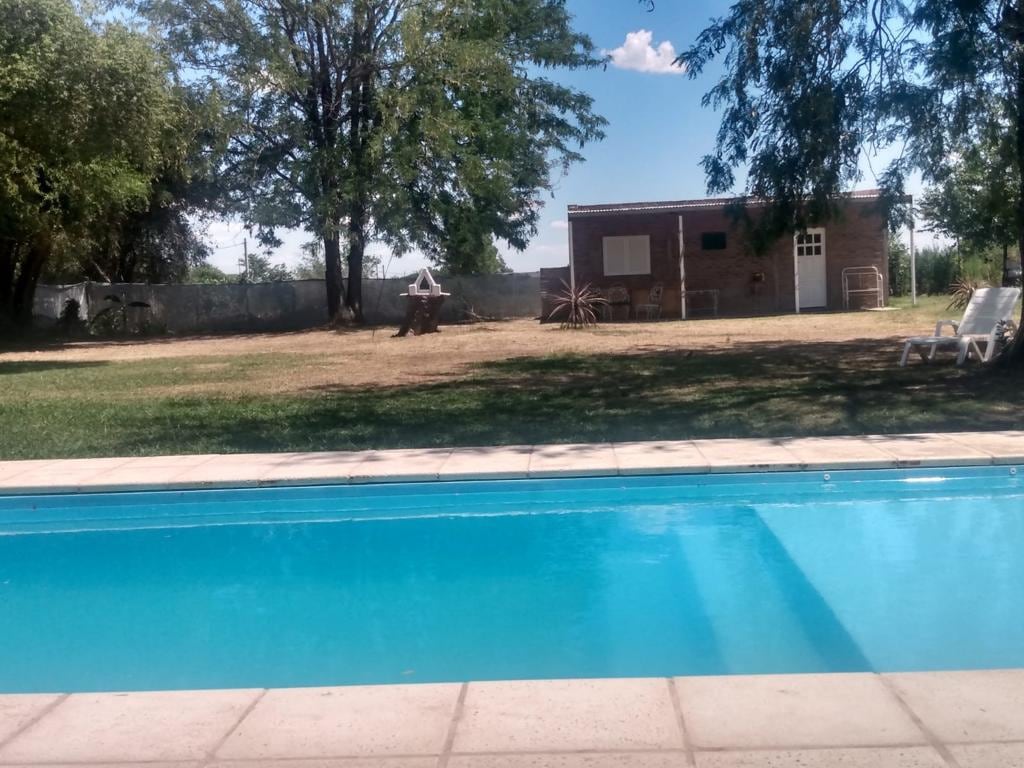 A swimming pool is framed by a tiled deck, reflecting the clear blue sky. Lush greenery surrounds the area, with a large tree providing shade. A rustic building and wooden seating can be seen in the background, enhancing the outdoor space.