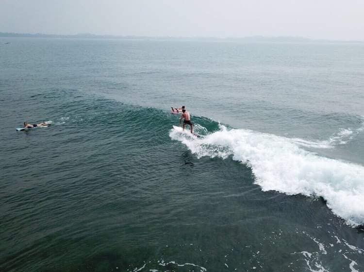 A tranquil ocean scene captures surfers riding gentle waves, with one individual standing proudly on a surfboard. In the background, two people float on their boards, highlighting the serene environment and inviting conditions for both novice and experienced surfers.