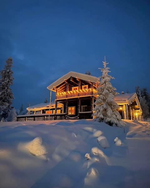 Contentful cabin in Birkenåsen