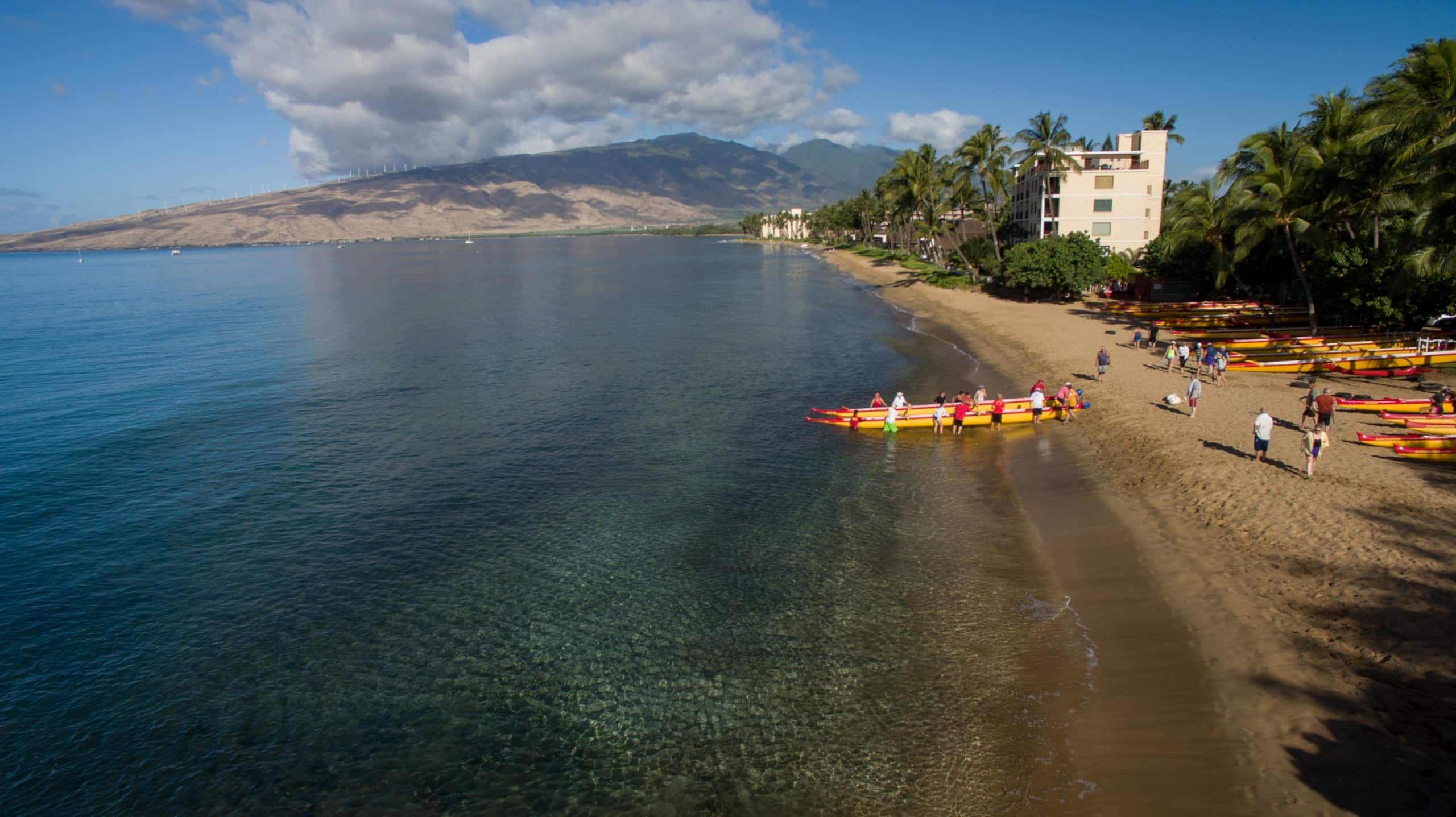 Condo in Kihei · ★5.0 · 1 bedroom · 2 beds · 1 bath - Image 21