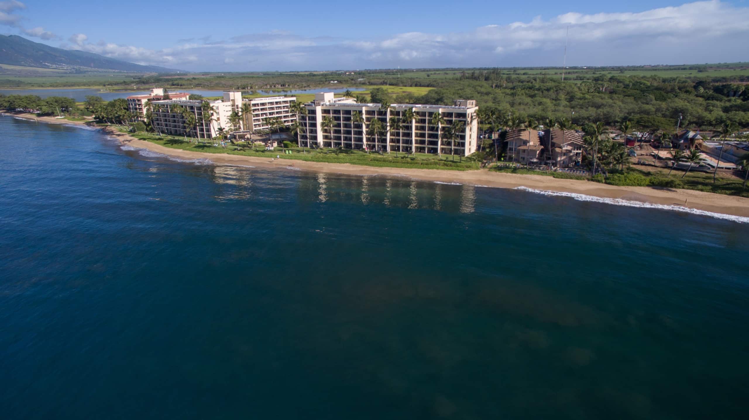 Condo in Kihei · ★5.0 · 1 bedroom · 2 beds · 1 bath - Image 20