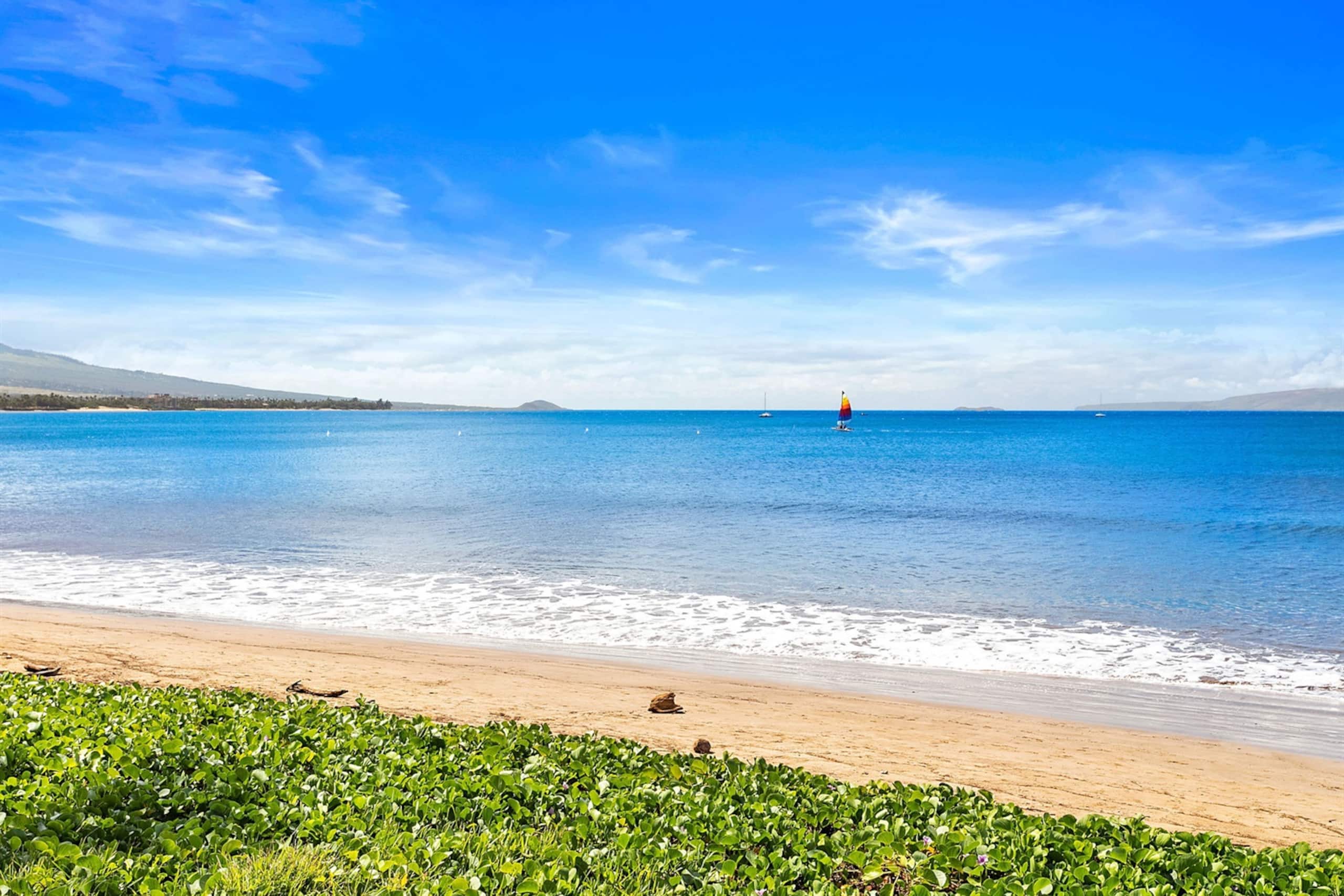 Condo in Kihei · ★5.0 · 1 bedroom · 2 beds · 1 bath - Image 19