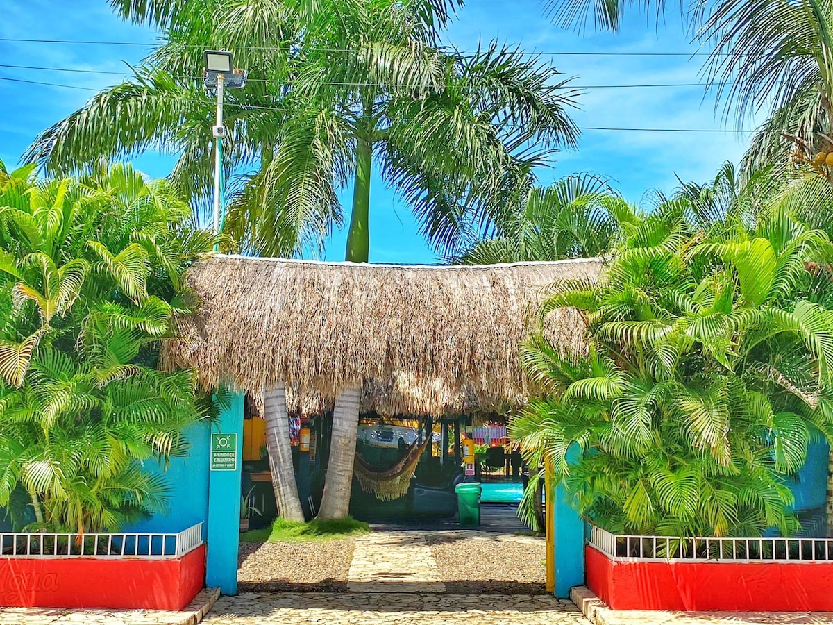 An entrance is framed by tall palm trees and lush greenery, providing a vibrant welcome. A thatched roof canopy offers shade, and a hammock is visible in the background. The pathway is lined with decorative stones, leading towards the serene pool area.