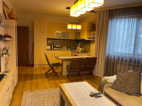 Nikol 3 SPA CLUB BOR