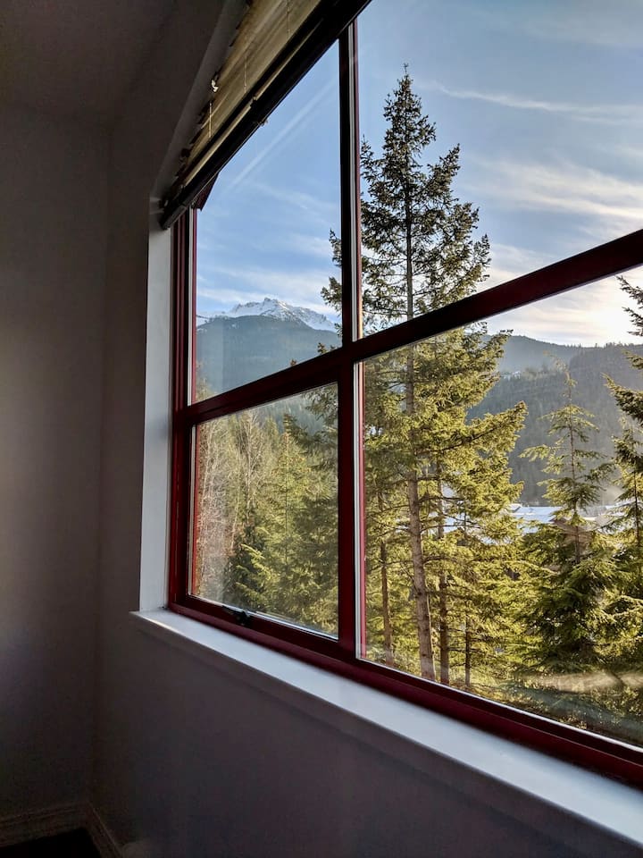 Ხედი ფანჯრიდან - სამხრეთით და ხედავთ „მწვერვალიდან კრიკამდე“ მკაფიო დღეს