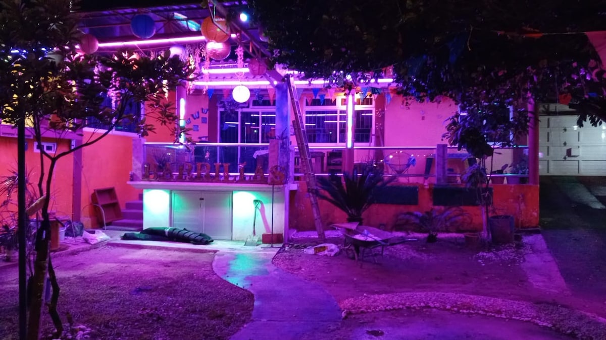 An outdoor area is illuminated with colorful lights, creating a vibrant atmosphere. The patio showcases a glass railing, while a variety of plants are positioned around the yard. A pathway meanders through the space, leading towards a structure with large windows yet to be detailed.