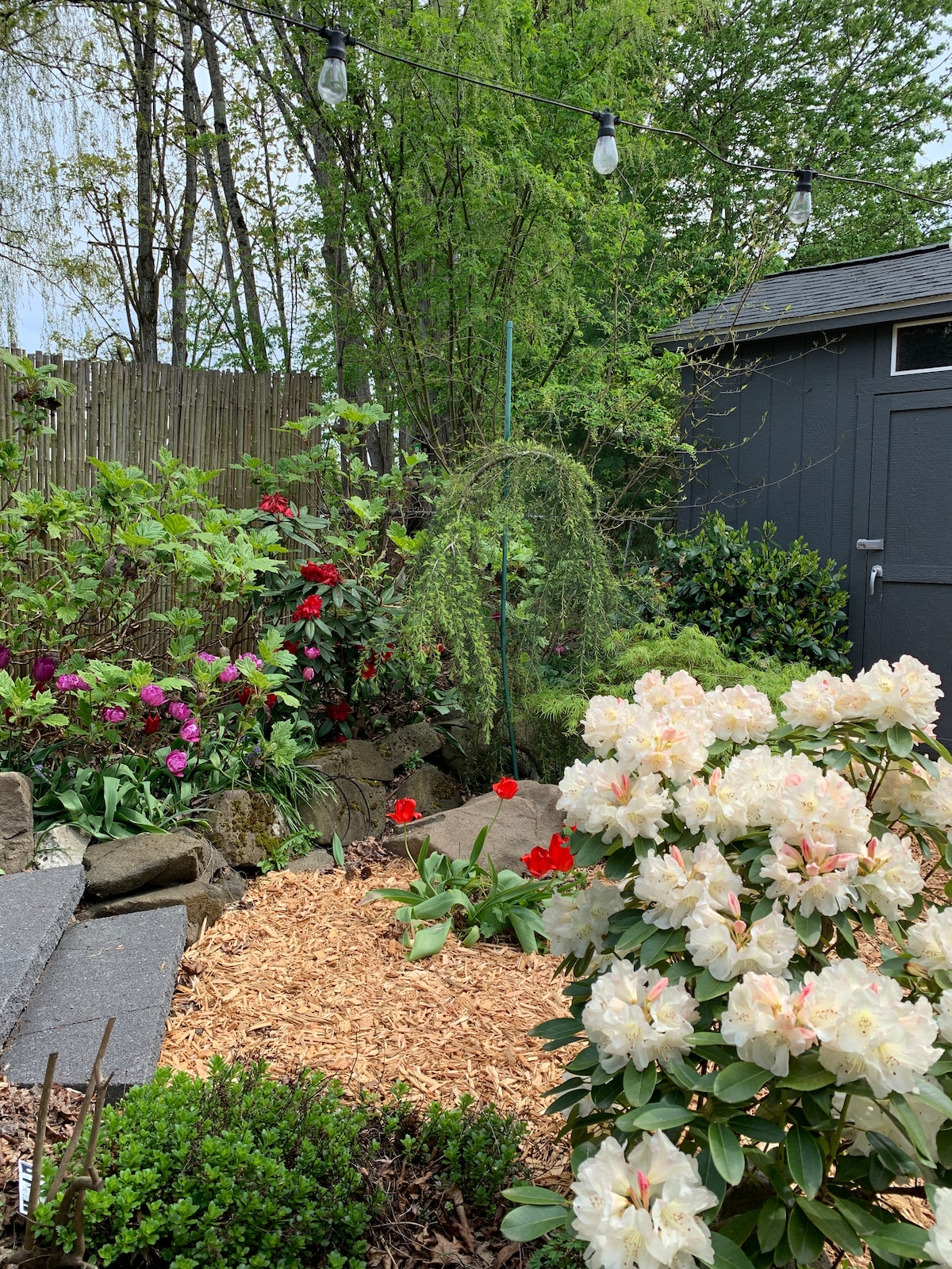 Seward Park Studio