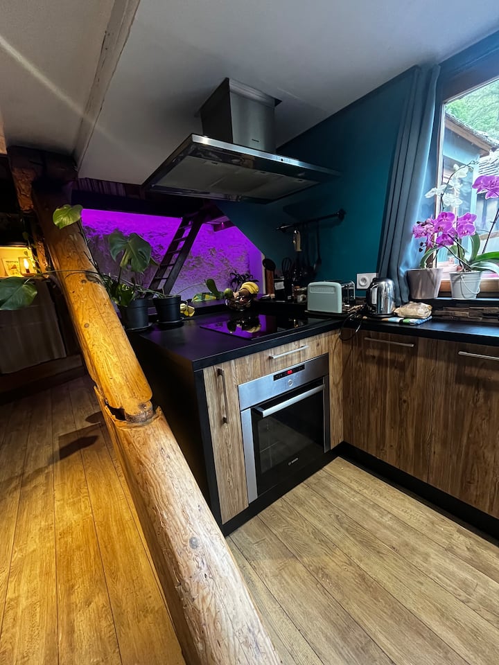 Appartement Atypique, Au Pied De La Citadelle - Besançon
