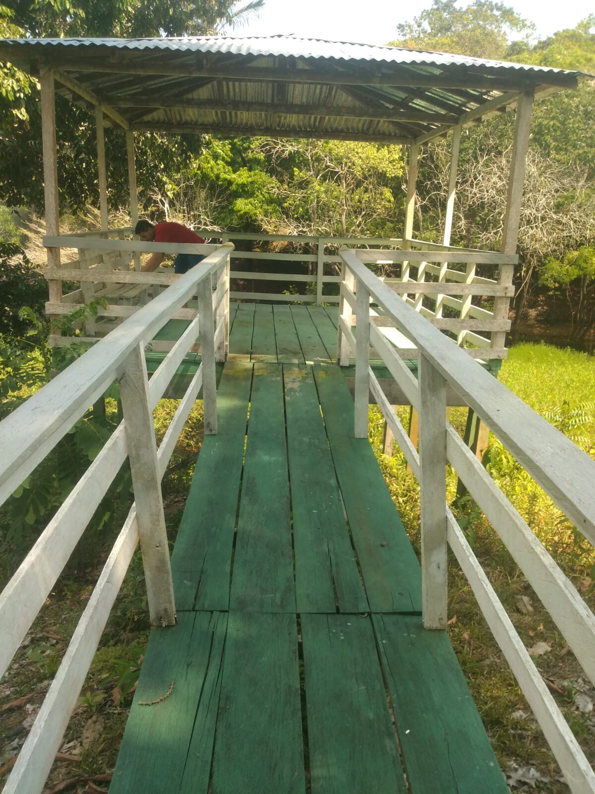 A wooden pier with a green plank pathway extends over lush grass, leading towards a sheltered area with a corrugated metal roof. The surrounding greenery offers a serene environment, ideal for family activities and enjoying nature.