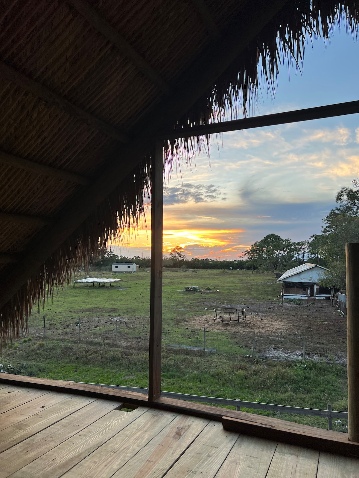 A sunset view is framed by a thatched roof, showcasing a vast green field bordered by subtle fencing. In the background, farm structures and cows are visible, set against a softly lit sky transitioning from orange to blue.