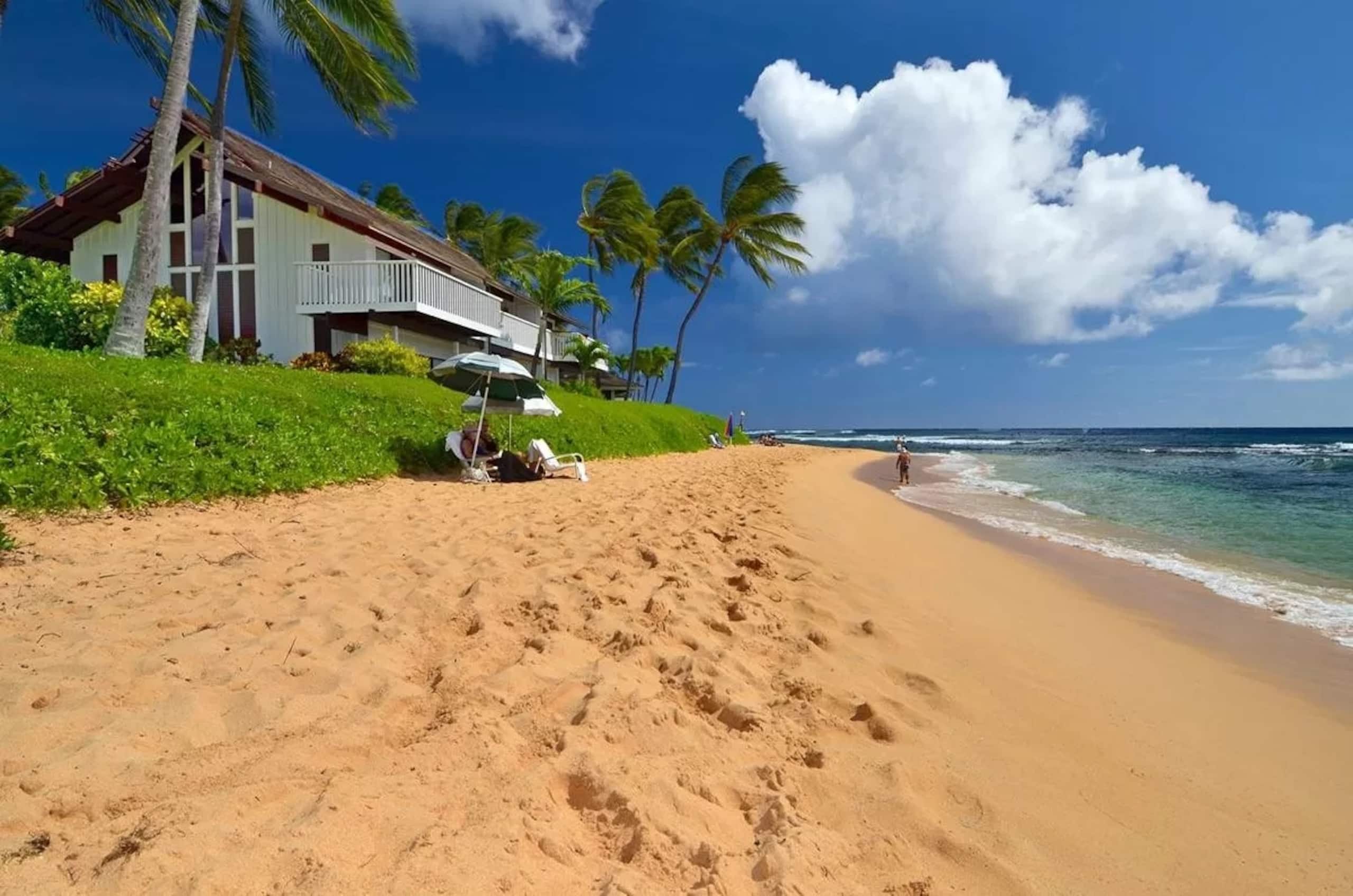The Surf Shack | Ocean Views | A/C - Photo 36