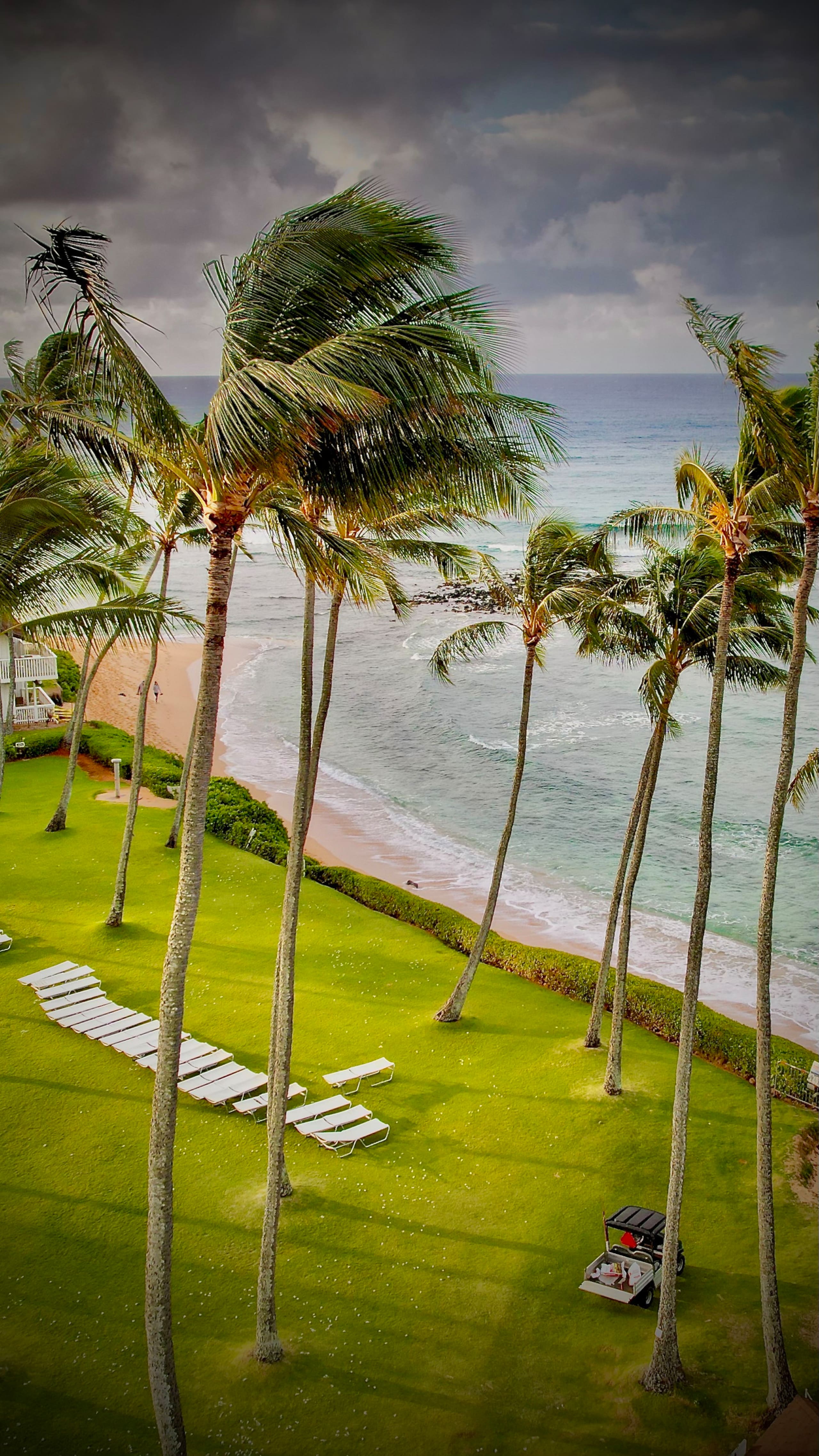 The Surf Shack | Ocean Views | A/C - Photo 40