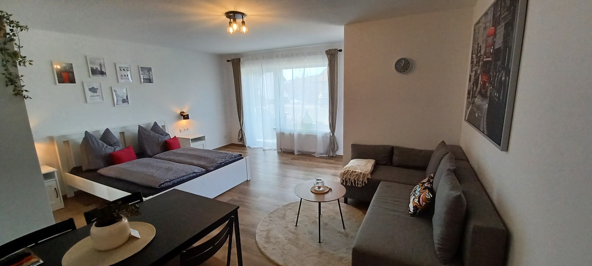 Top Airbnb: Haus Ribeiro - Apartment 2 a Schluchsee
