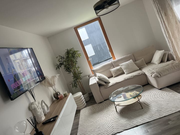 Appartement Proche Stade De France Saint Denis - Stains