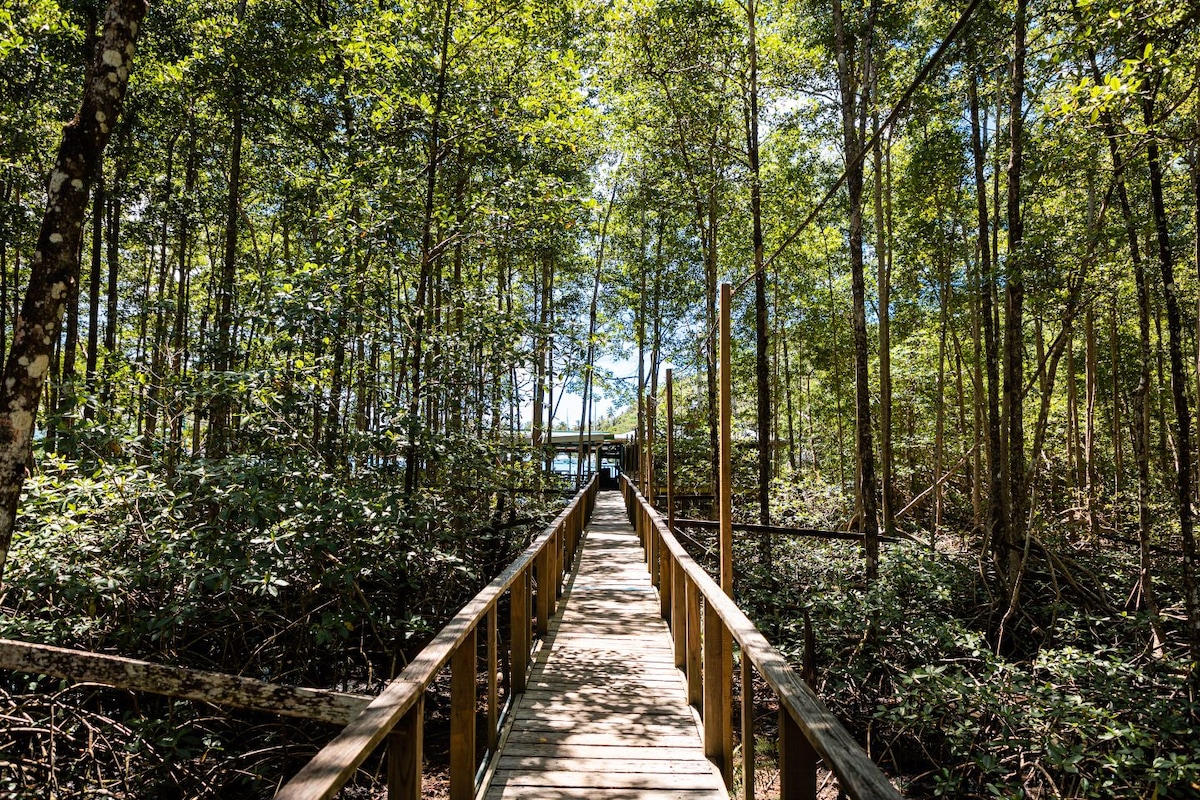 A wooden boardwalk extends through lush greenery, leading towards a serene waterfront area. Tall trees provide a natural canopy, with dappled sunlight filtering through the leaves, creating a calming atmosphere for those making their way to the water.