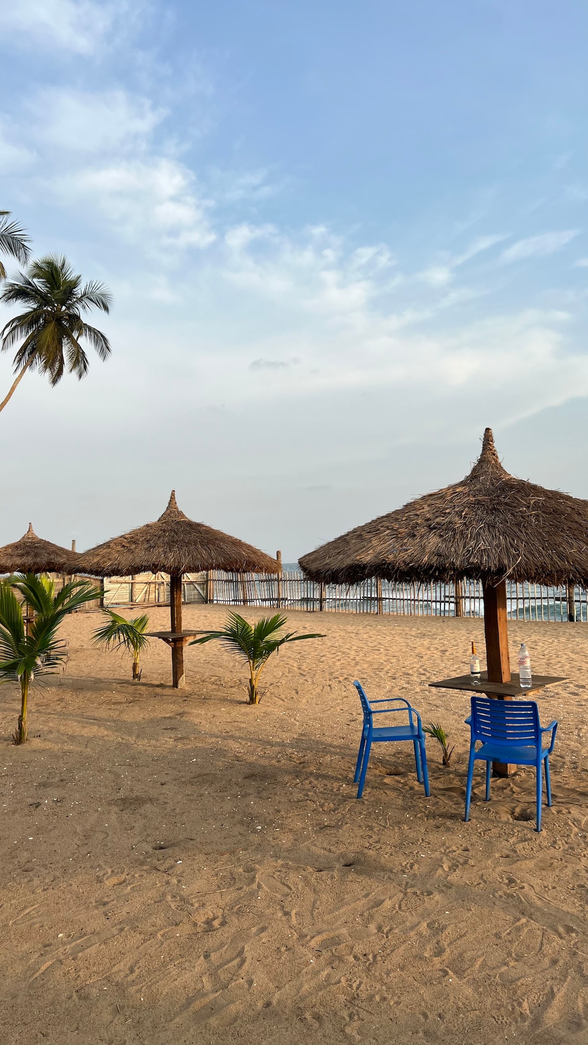 Two thatched umbrellas are positioned on sandy ground, providing shade beside a calm beach. Each umbrella is accompanied by a blue chair and a small table. A palm tree adds a touch of greenery, while a serene view of the ocean can be seen in the background.