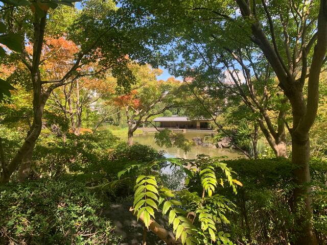 Tokyo garden home gallery image 5