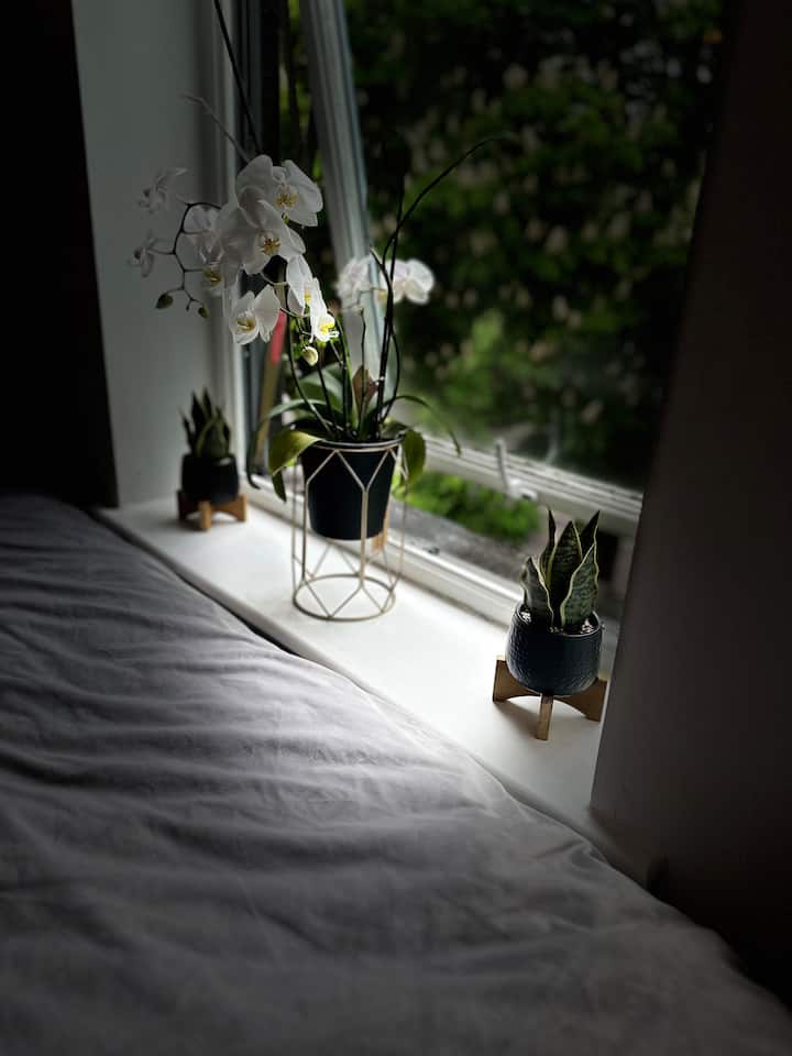 غرفة النوم 2