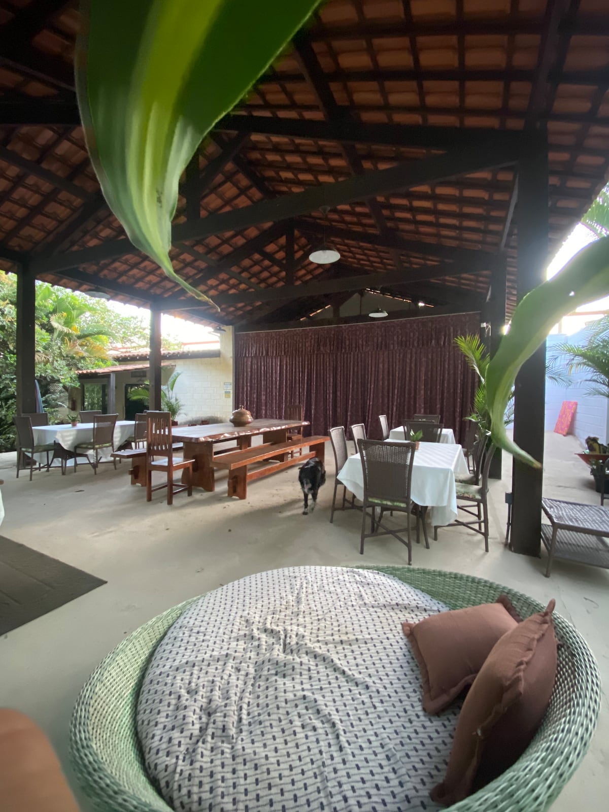 An open outdoor dining space is observed, featuring a high, wooden-beamed ceiling. Long wooden tables and wicker chairs are arranged across the area. Lush greenery is present, with large leaves framing the view. A cozy seating area with a circular woven couch is included.