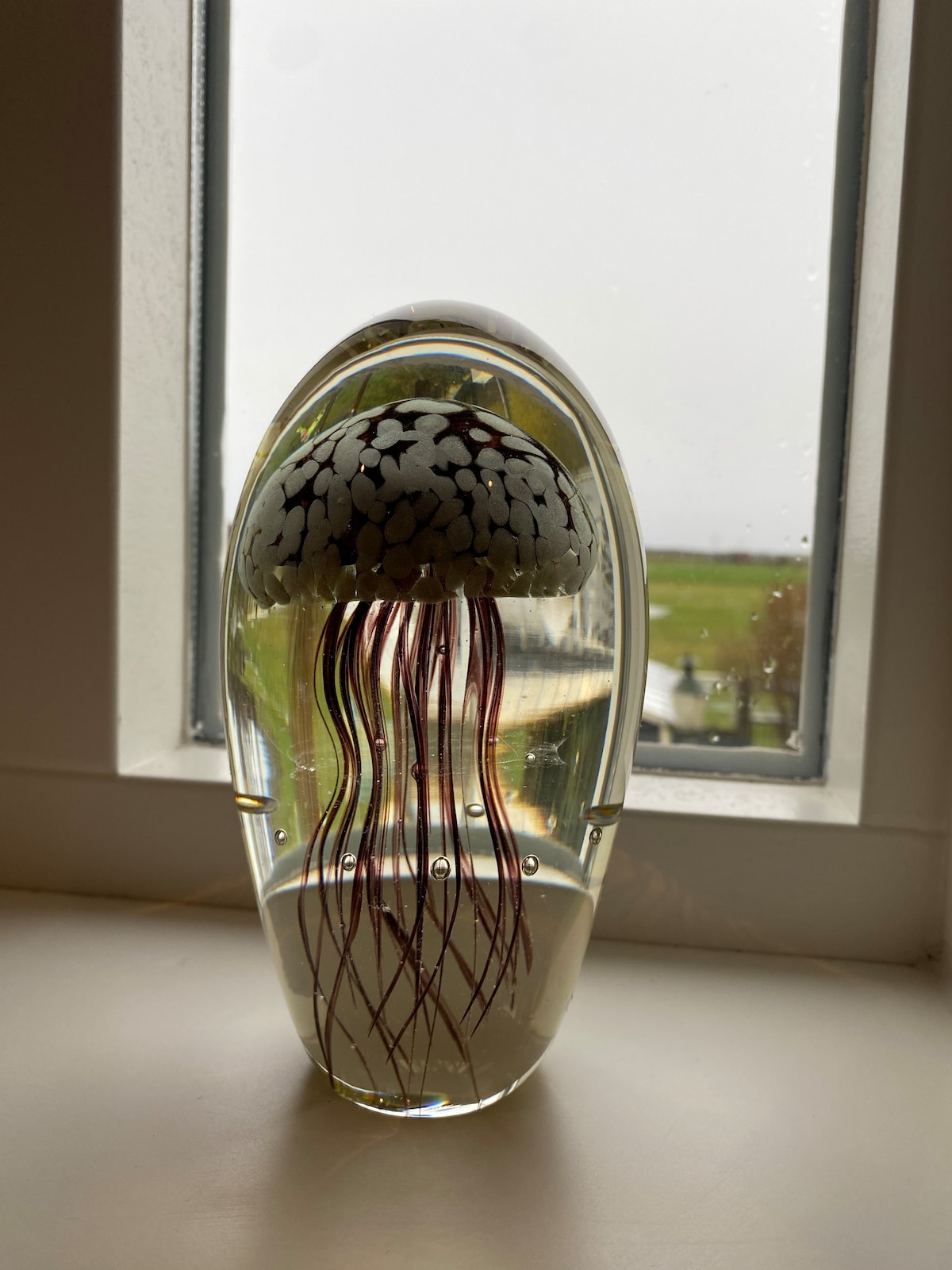 A glass jellyfish sculpture is featured on a windowsill, its elegant form captured in a clear dome. The jellyfish has a speckled white cap and translucent tendrils extending downward, creating a serene focal point against the backdrop of a cloudy outdoor view.