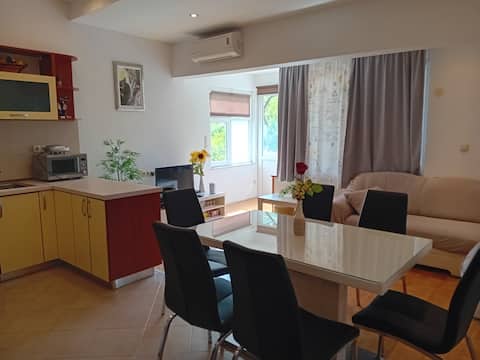 Top performing Airbnb: Apartment Josipa Slime in Slime