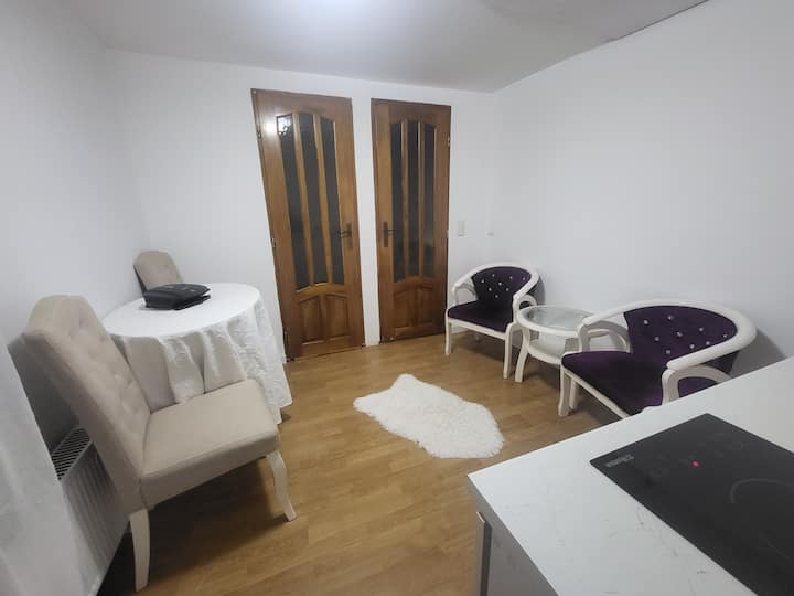 Apartament Cu O Camera In Centrul Istoric Sibiu - Sibiu