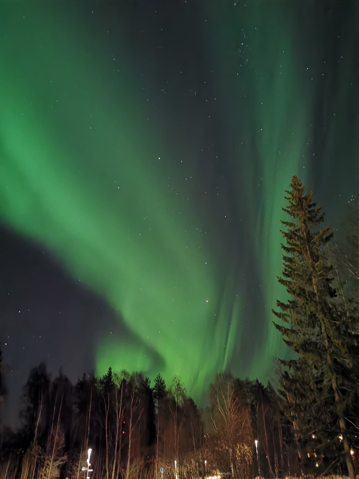 The image captures the Northern Lights illuminating the night sky with vibrant green hues. A backdrop of tall trees and a moments of starlit sky enhances the natural beauty of the scene, creating a serene atmosphere in the surrounding wilderness.