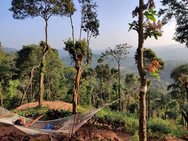 KaayamKaad -Valley View