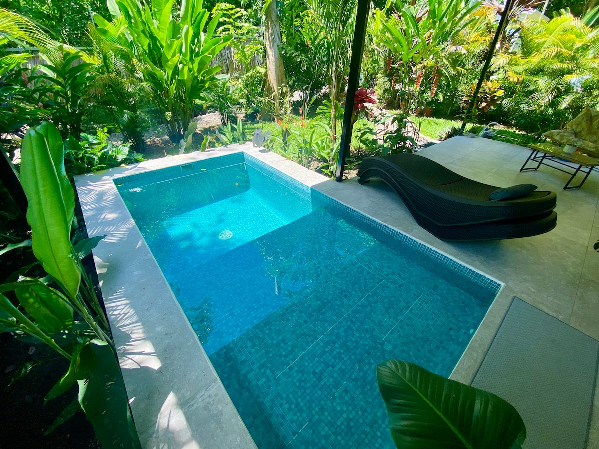 A private pool is surrounded by lush tropical greenery, featuring clear blue water and a sleek, modern design. A single lounge chair is positioned nearby on a patio, providing a space for relaxation amidst the vibrant foliage.