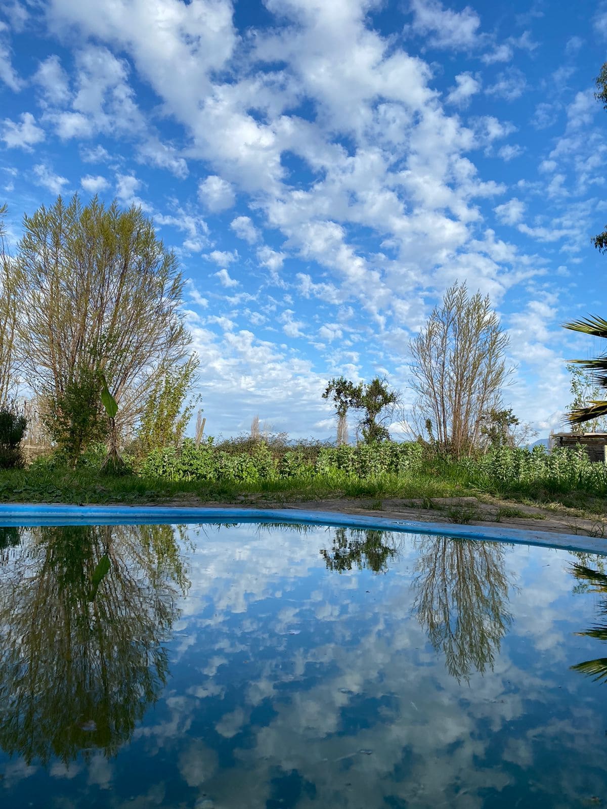 A serene outdoor space is highlighted by a calm pool reflecting the dynamic cloud patterns in the blue sky. Lush greenery surrounds the area, with tall trees providing a natural backdrop.