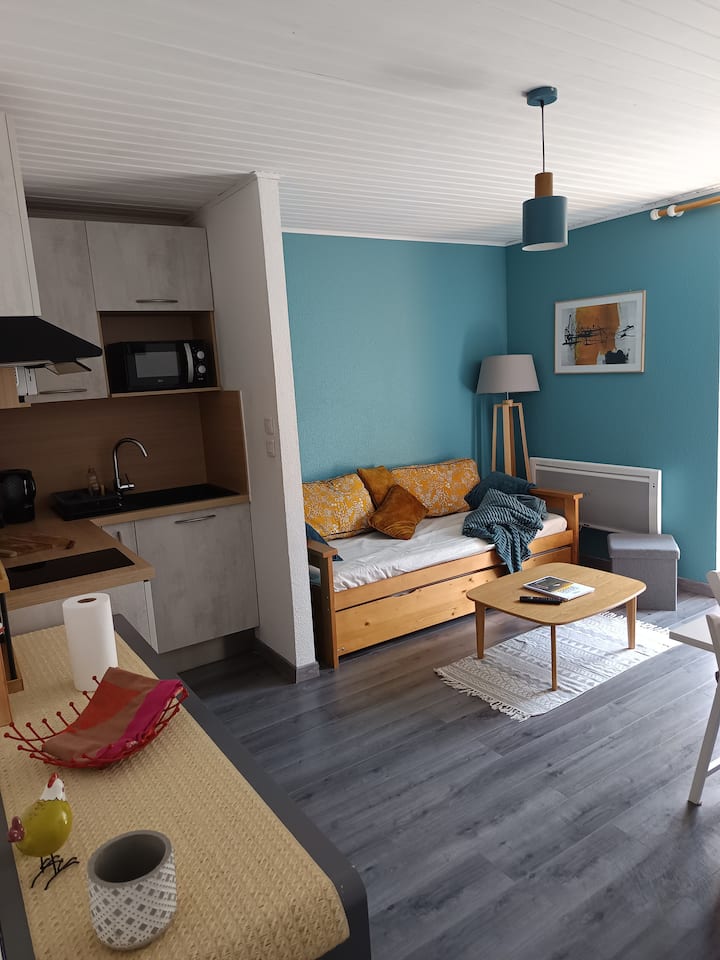 Appt La Bresse
4 Couchages - La Bresse