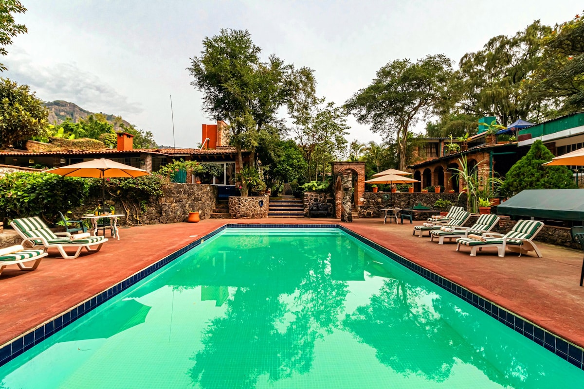 A serene outdoor pool area is surrounded by green trees and landscaped gardens. Lounge chairs are arranged on the pool deck, with umbrellas offering shade. Steps lead to a higher level with additional seating and vibrant vegetation, creating a calm and inviting atmosphere.