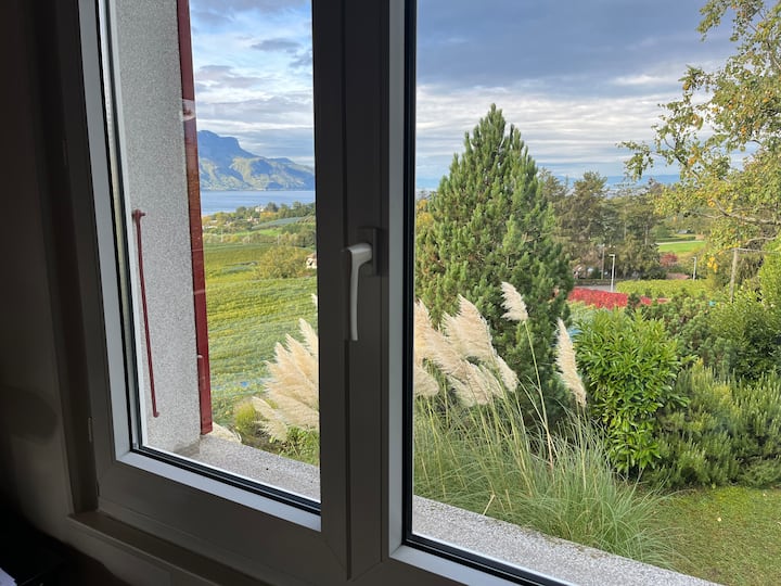 Le P‘tit Paradis Chailly - Montreux