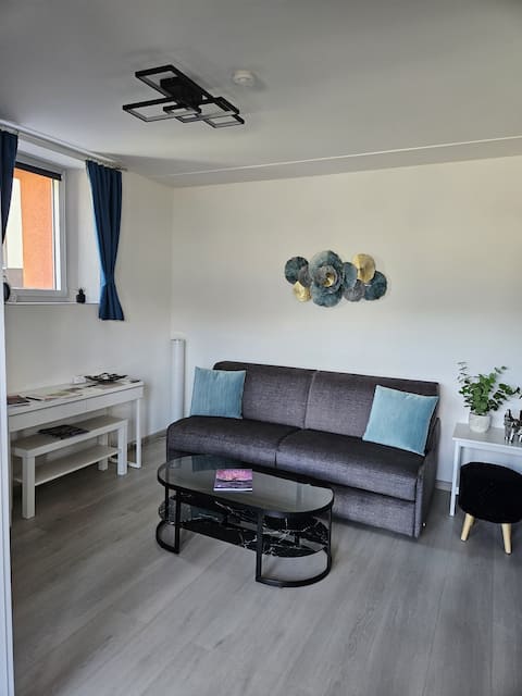 Popular Airbnb listing: Premium Accommodation in Salins in Sion