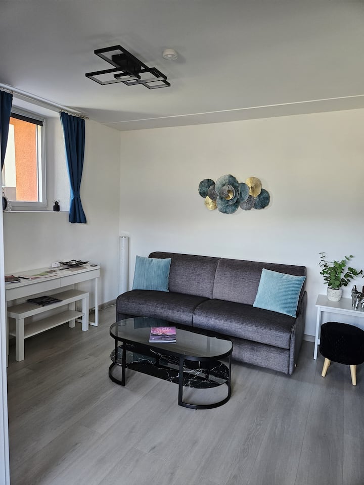 Logement Premium à Salins - Sion