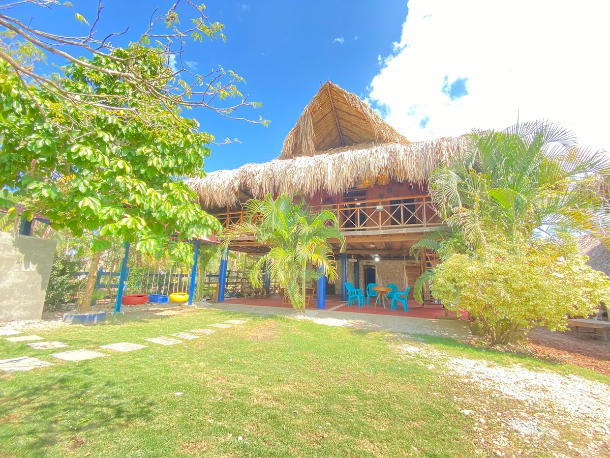 A spacious cabin with a thatched roof rests amidst greenery, surrounded by tropical plants. Bright blue chairs are placed on the patio, and a stone pathway leads to the entrance. Sunlight filters through the trees, creating a peaceful outdoor environment.