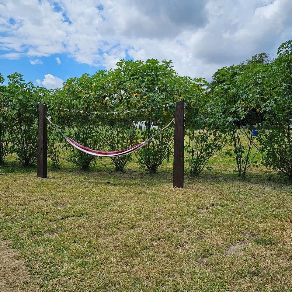 An inviting hammock is suspended between two wooden posts, surrounded by lush greenery. The grass is well-maintained, providing a serene space for relaxation. The sky is partly cloudy, casting gentle shadows over the area, enhancing the peaceful outdoor setting.