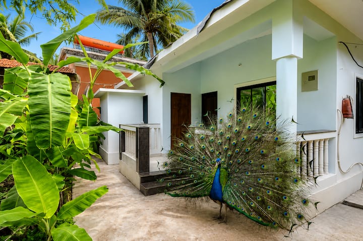 A+ Location | King | Peacock | Vagotor Beach 2 Min - Goa