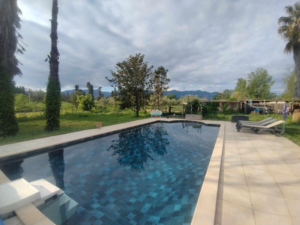 A rectangular swimming pool is surrounded by a tiled patio, offering views of lush greenery and distant mountains. Palm trees frame the area, and a few lounge chairs are positioned on the patio, inviting relaxation. The sky is partially cloudy, creating a serene atmosphere.